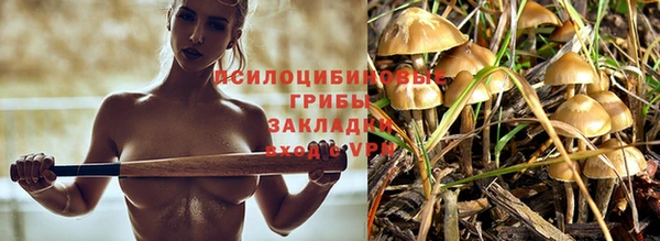 наркотики Алексеевка